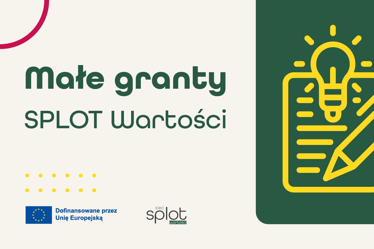 Fundusz małych grantów projektu „Splot wartości 2.0” otwiera drzwi dla organizacji społecznych