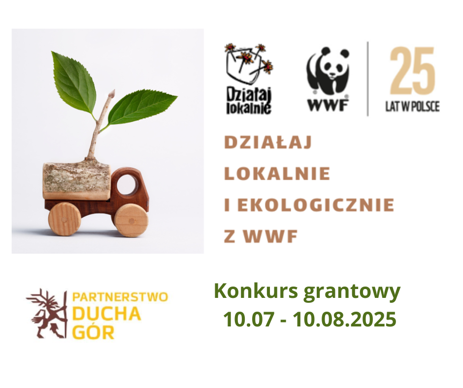 Nabór DL WWF 10.07-10.08.2025 