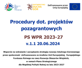Procedury dot. innych projektów v.1.1