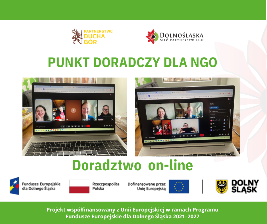 Doradztwo on-line dla NGO