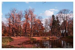 Park w Mysłakowicach